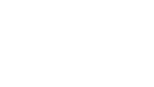 Birding and Beyond Safaris