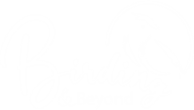 Birding and Beyond Safaris